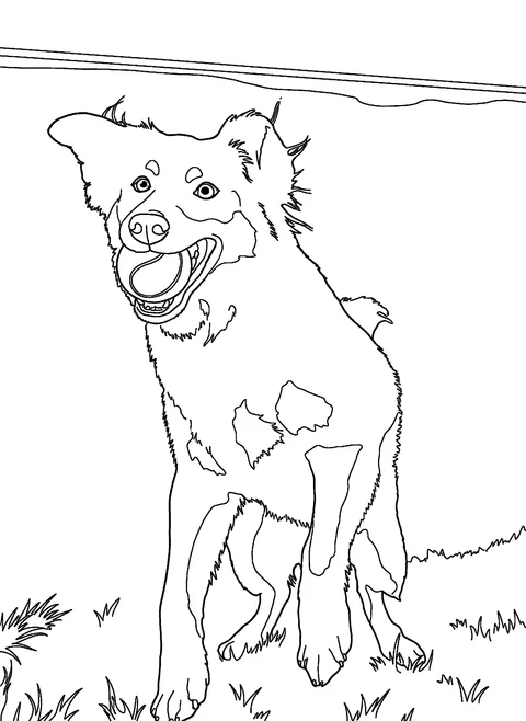 Printable portrait of a dog drawn from a favorite photo, a gentle memorial keepsake