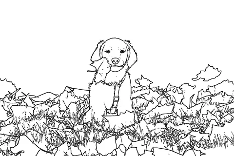 Thanksgiving pet coloring drawing