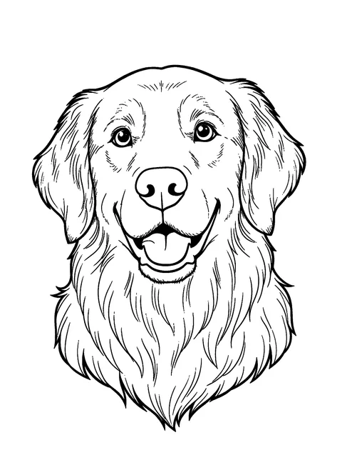 Realistic dog coloring page of a smiling golden retriever head-and-shoulders portrait, free printable