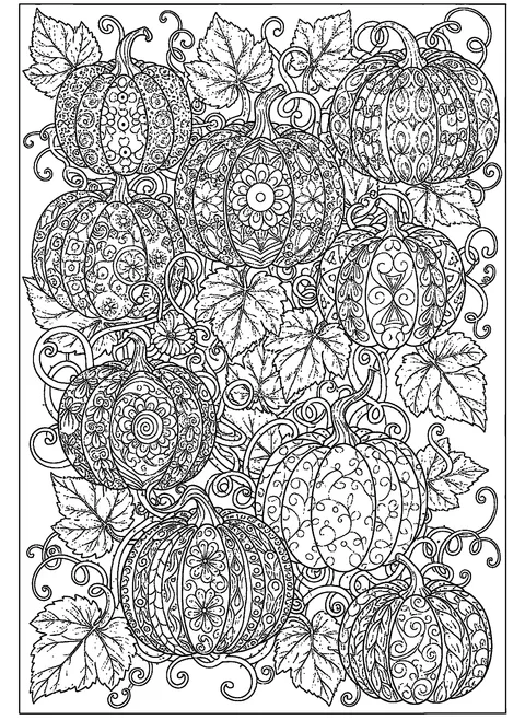 Pumpkin coloring page for adults with patterned pumpkins connected by winding vines and detailed leaves, free printable