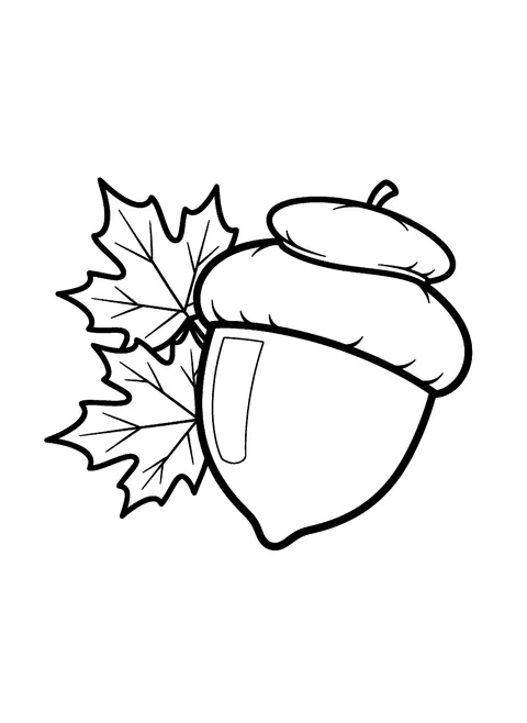 Easy Thanksgiving coloring page for toddlers with one big acorn and two maple leaves, free printable